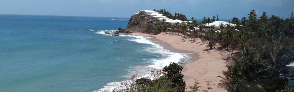 Clifftop view of a sandy beach lined with palm trees and white rooftops