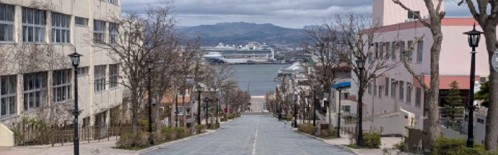 Hill view with cruise ship in distance