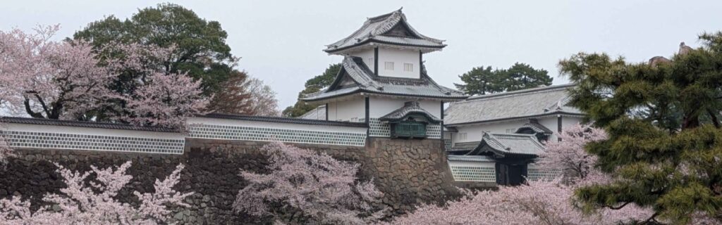 Kanazawa Castle behind cherry blossoms