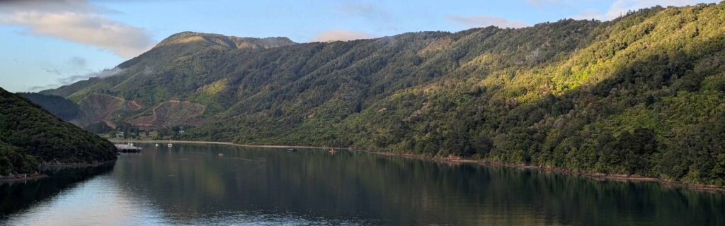 Quiet inlet surrounded by green hills