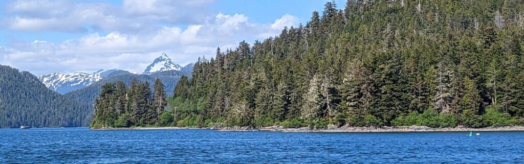 Panoramic coastal view with forest and mountains near Sitka Alaska
