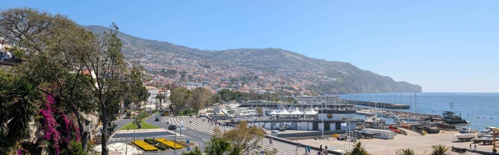 Harbor and city view of Funchal with hills in the background